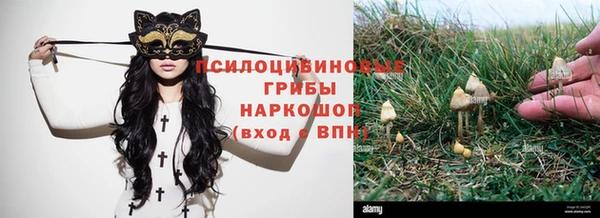 мдпв Мегион